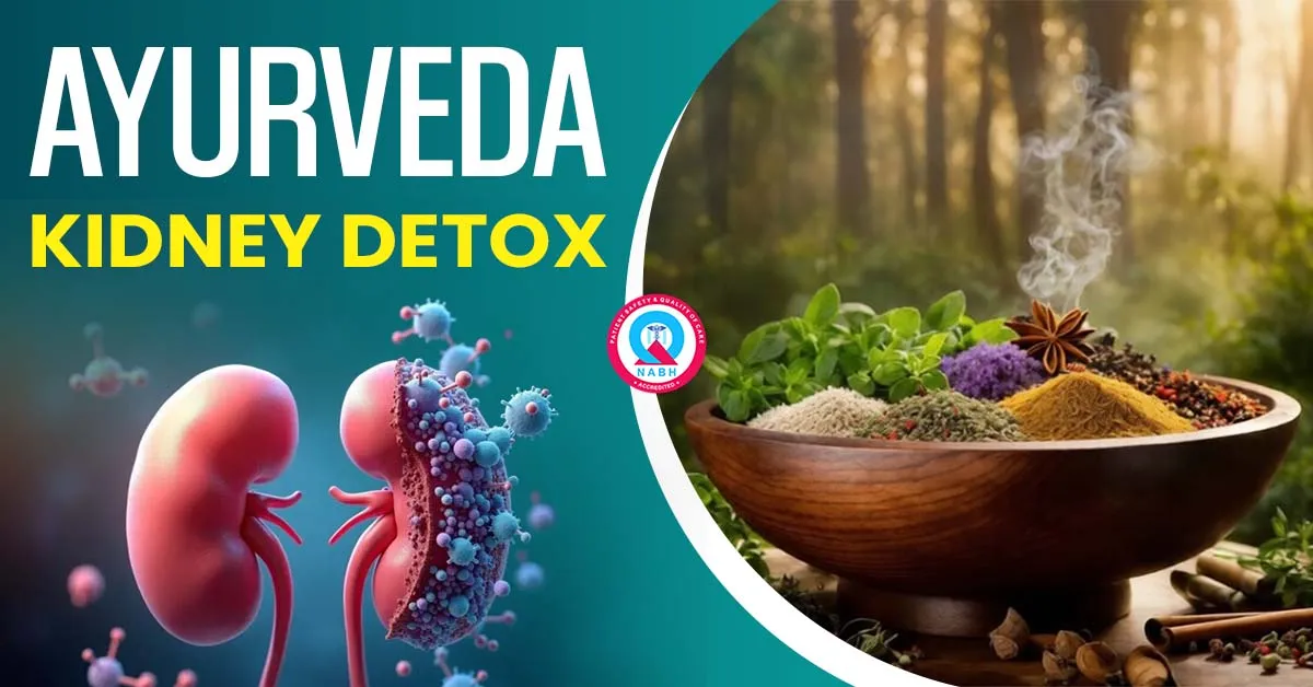 ayurveda-kidney-detox